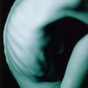 daylight-obsession avatar