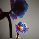 daylightdemons avatar