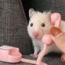 daylightfemme avatar