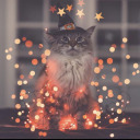 daylikeeveryday avatar