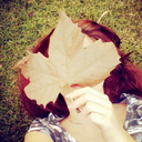 days-without-disguise avatar