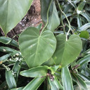 daysdifferent avatar