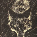 daysuncharted avatar