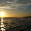 dayy--dreaming avatar