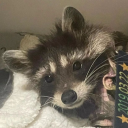 dayzzzzyyyyboiiiiiii08 avatar