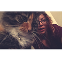 dazed-inthesky avatar