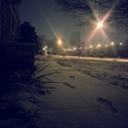 dazedandconfuzd avatar