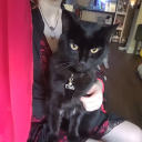 dazedsuccubus avatar