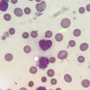 dazzledpenguin avatar