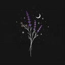 dazzling-bullshit avatar