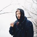 dazzlingeremite avatar