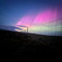 dchighlanderr avatar