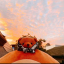 dddreamlandddd avatar