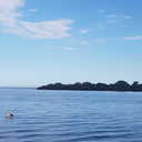 ddivine-simplicity avatar