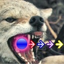 ddrqoyote avatar