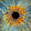 deabruarenjarraitzaileaya-ha avatar