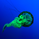 deactivated-2020-28-11 avatar