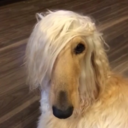 deactivated21432 avatar