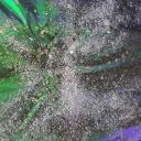 deactivatedacct01082020 avatar