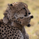 dead-but-not-anymore avatar