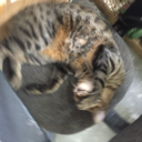 deadandlaughing avatar