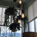 deadb0wlofsoup avatar