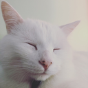 deadbeforedeath avatar