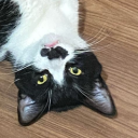 deadbladecharger avatar