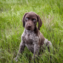 deadeadeadeadeadeadd avatar