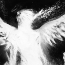 deadfishdance avatar