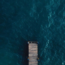 deadglrlstudies avatar