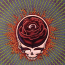 deadhead-daydream avatar