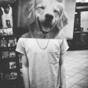 deadinsidelol avatar