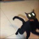 deadlinejustpassed avatar