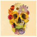 deadly-efficient avatar