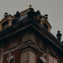 deadly-paradise avatar