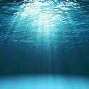 deadpoetquoth avatar