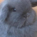 deadpoetsfool avatar