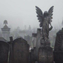 deadrobot-juniper avatar