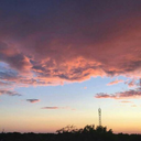 deadstonerssociety5 avatar