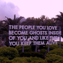 deadstringency avatar