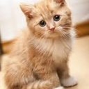 deafeningstrangertidalwave-blog avatar