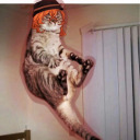 deafeningtrashwizard avatar