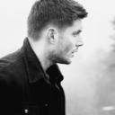 dean-winchester-loves-pie-blog avatar