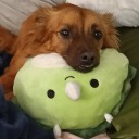 deanbuttlover avatar