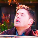 deannystiel avatar