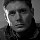 deanreaderreblog avatar