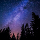 dear-evan-carter avatar