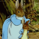 dear-peter-rabbit avatar