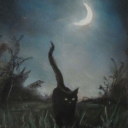 dear-sciaphilia avatar